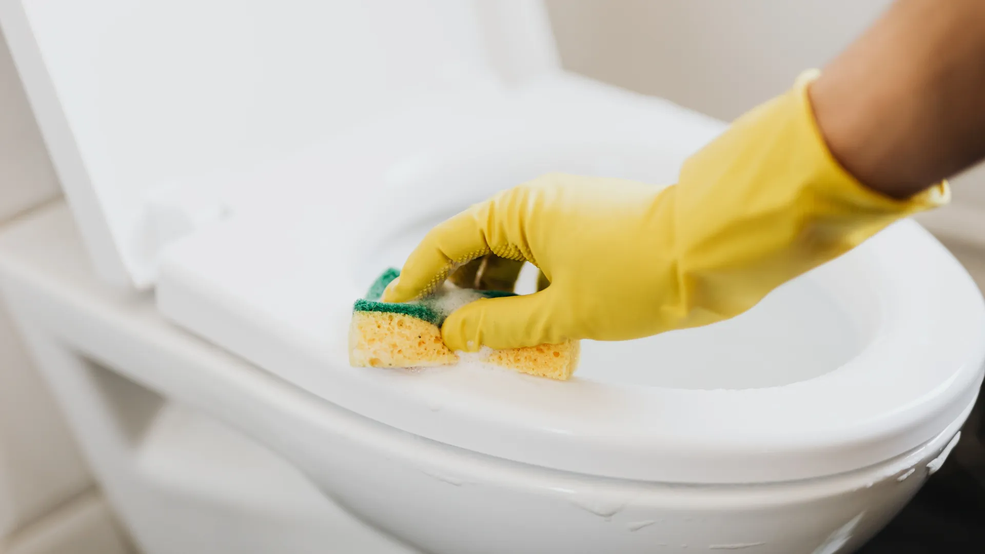 Gloved hand scrubbing a toilet bowl with a sponge